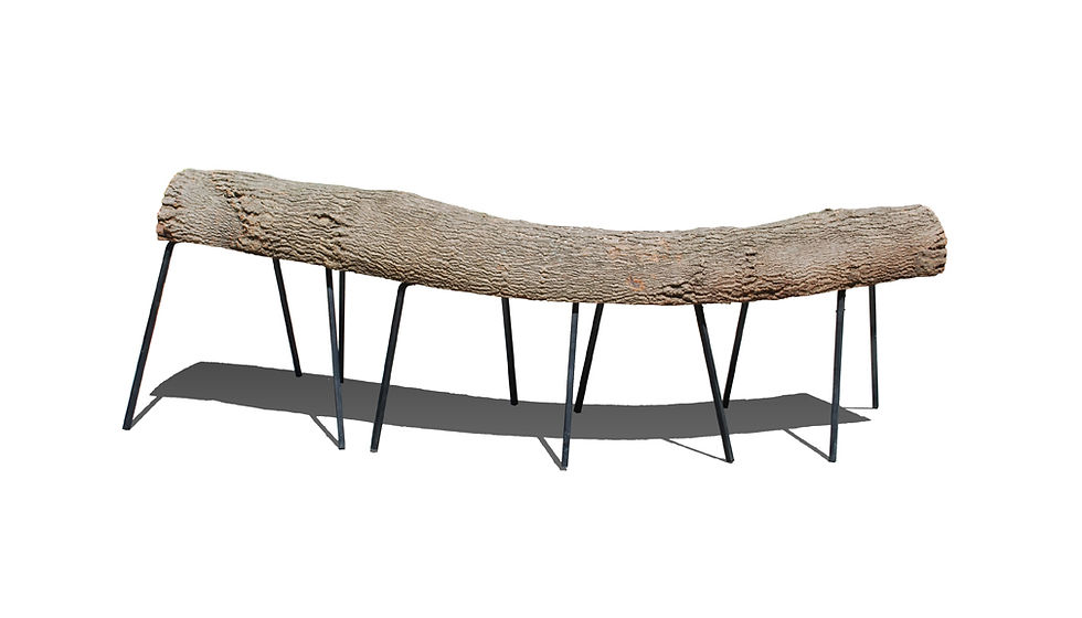caterpillar bench