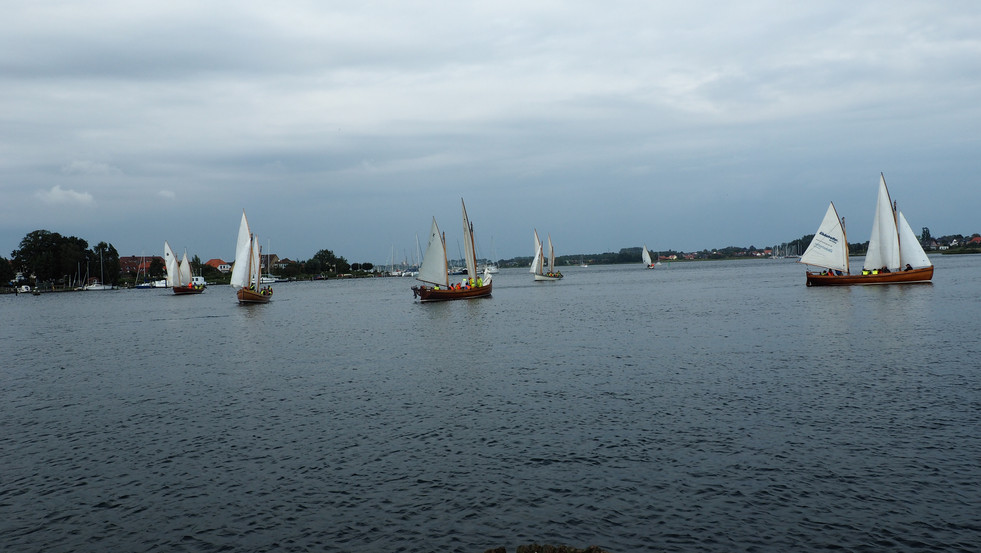P1011216.JPG