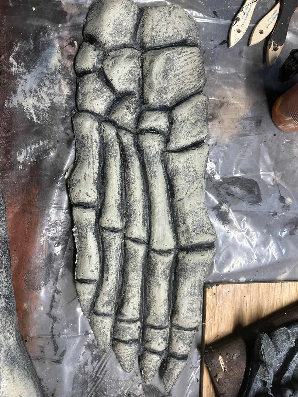 Skeleton Foot