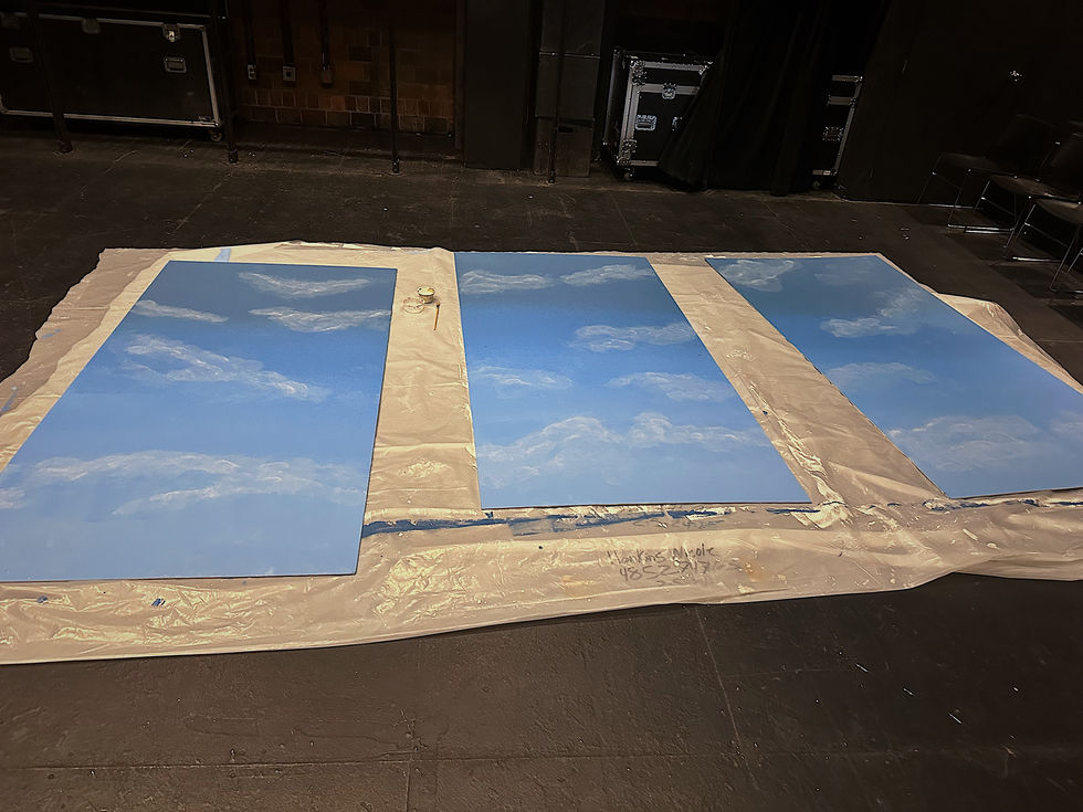 Finished Sky Panels