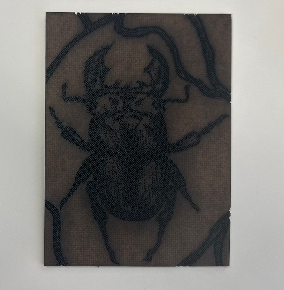 Engraved Beetle
