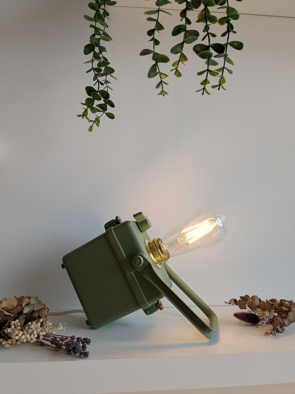 Miniature : Wonder Tifon  Kaki