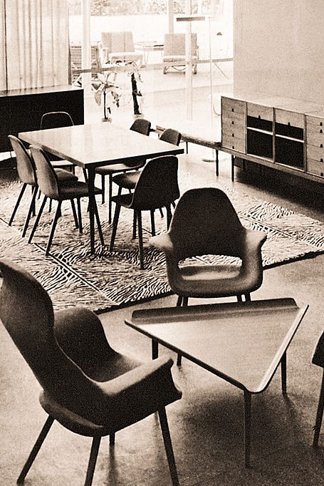 Organic Chair de charkes eames.jpg