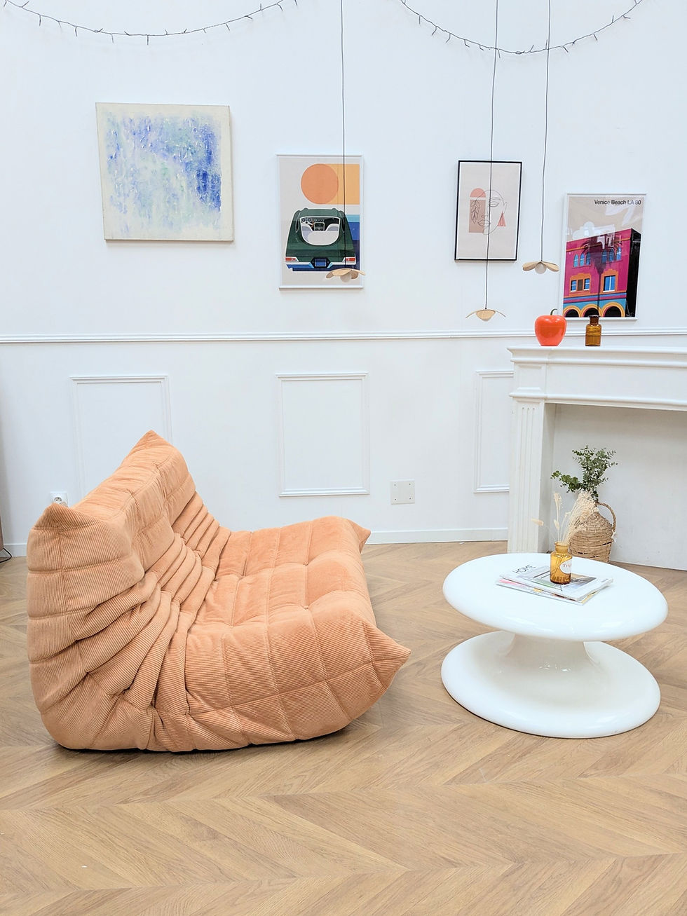 Miniature : Canapé 2 places modèle Togo par Michel Ducaroy en orange velours cotelé dans un salon