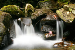 Little Falls