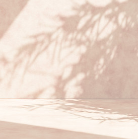 Mur avec ombre de plante