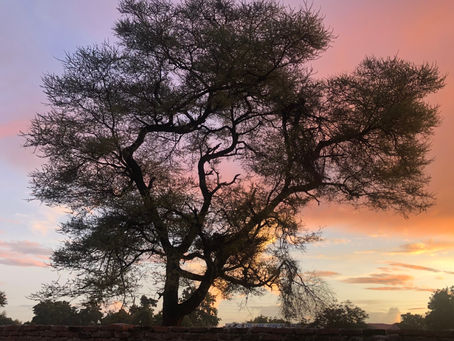 Malawi - After the Storm