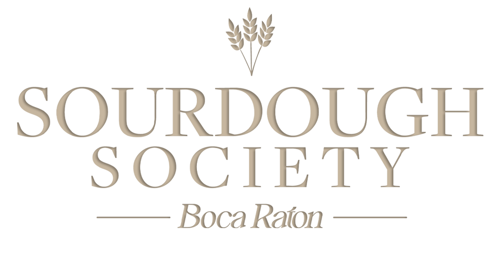 logo web2 Boca copy.png