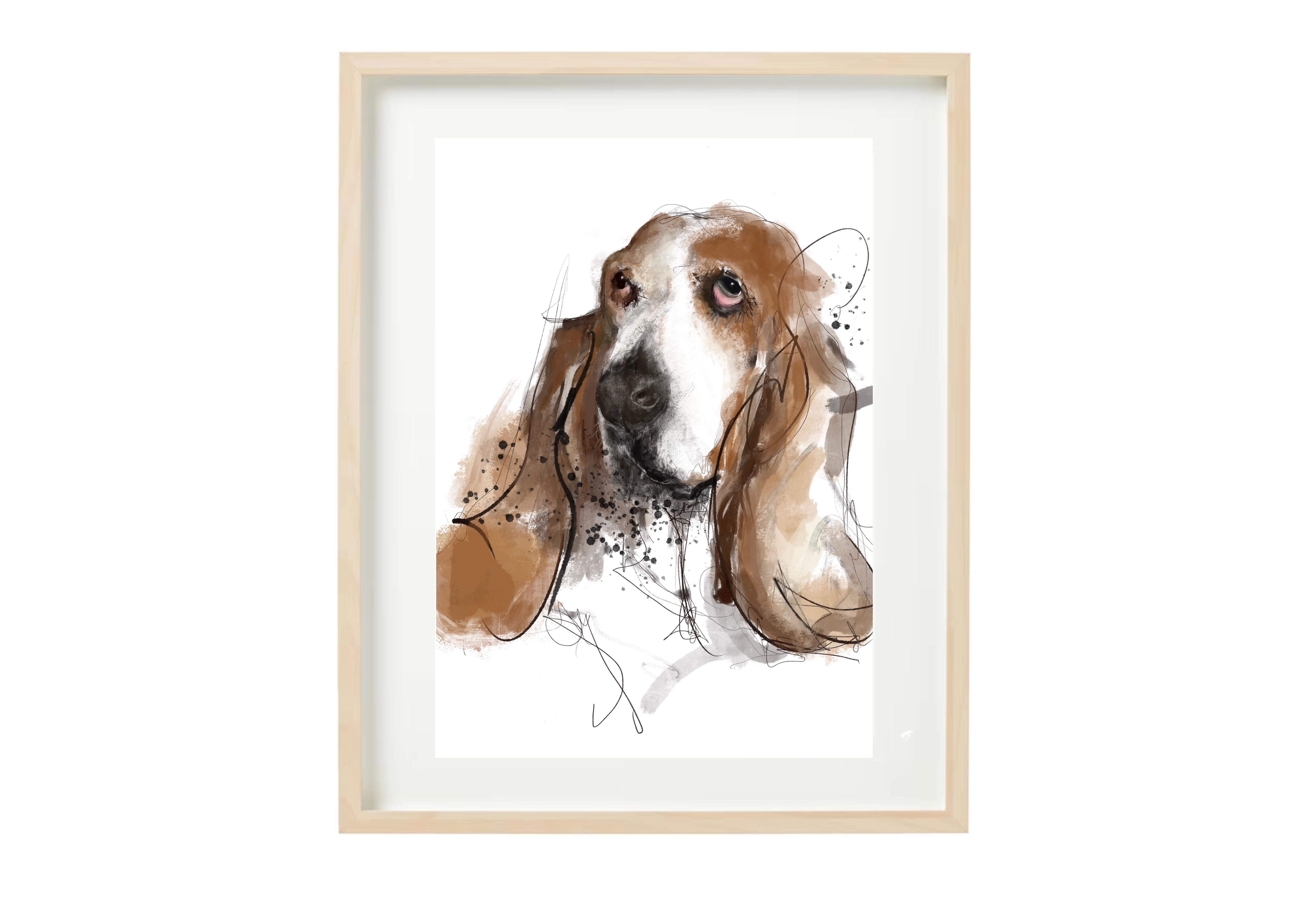 Basset