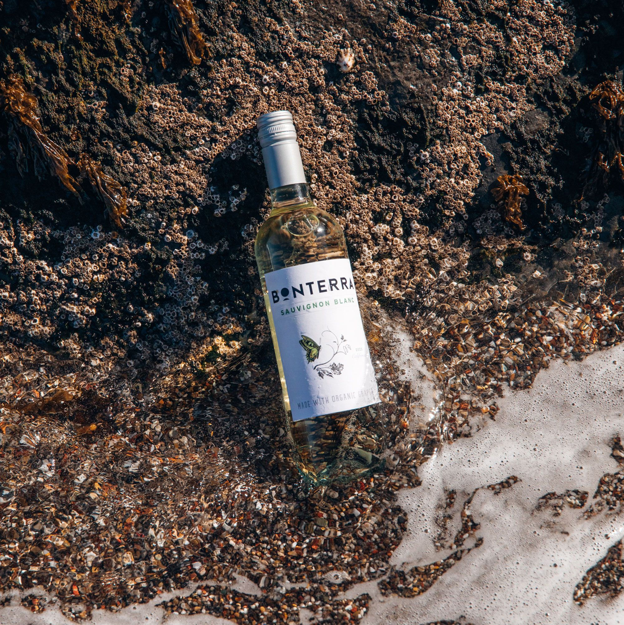 BONTERRA SAUV BLANC 1 X 750 ML