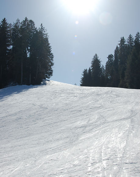 DSC_0033.JPG