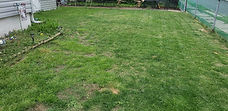 received_328915631031973.jpeg