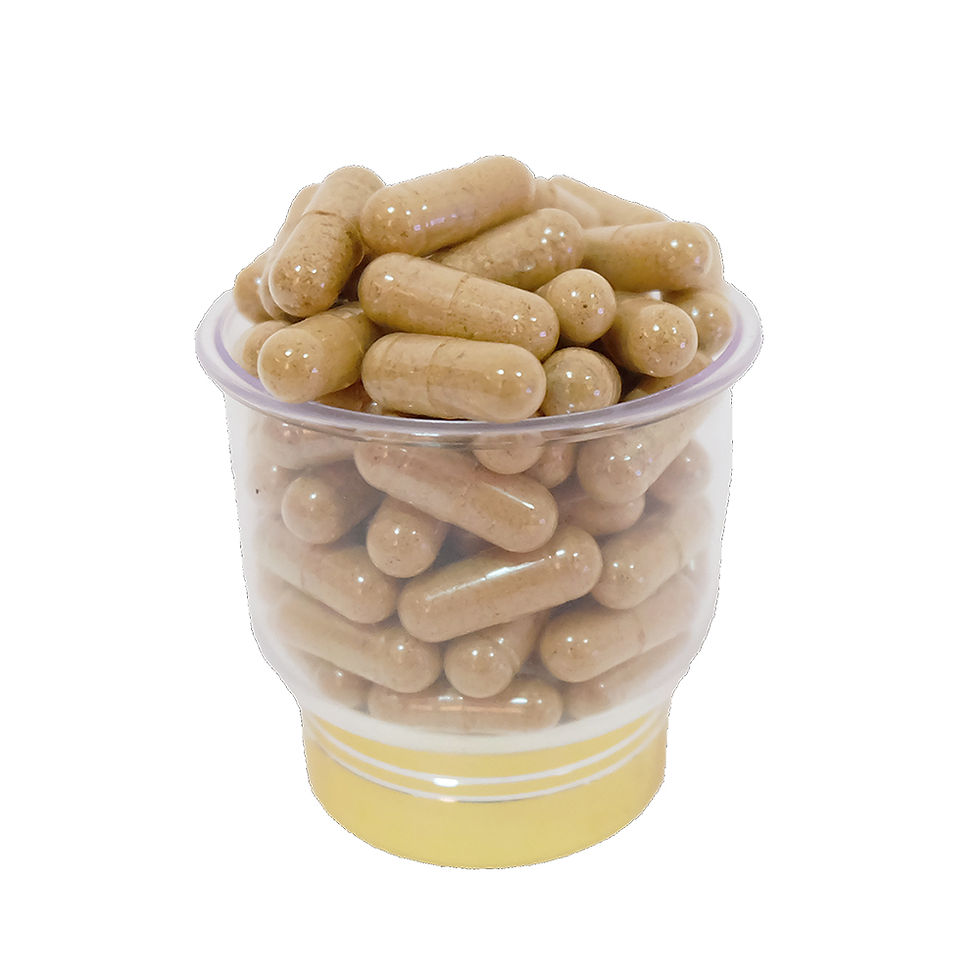 Thumbnail: Lingzhi Reishi Herbal Veggie Capsule (500 mg) ; Herb of Immortality