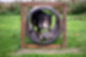 agility 8.jpg