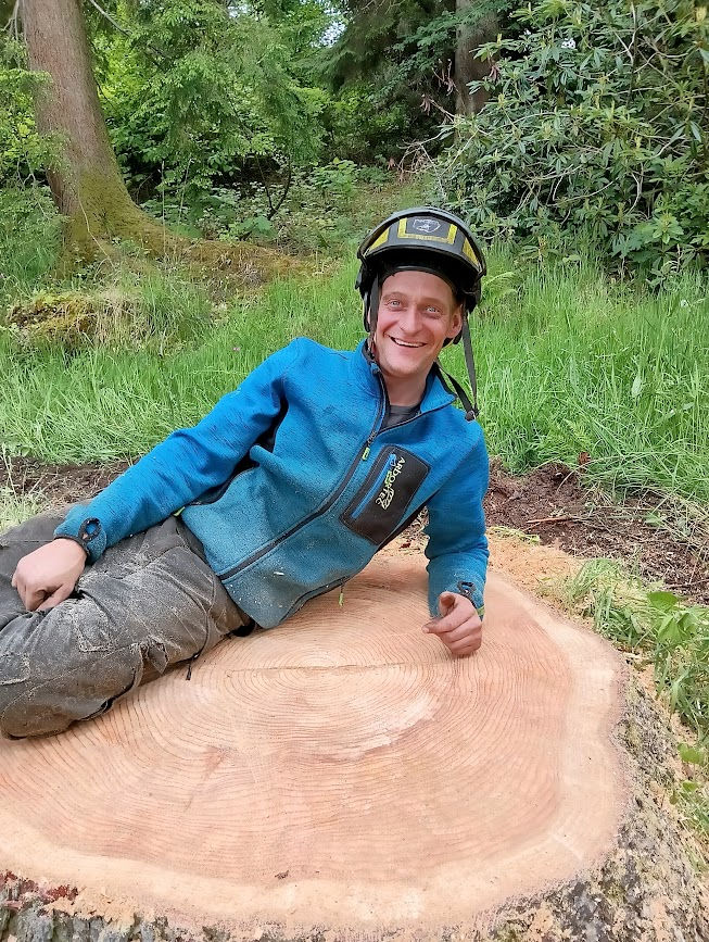 a yellow stump grinder actively chipping away at a leftover tree stump in a grassy yard