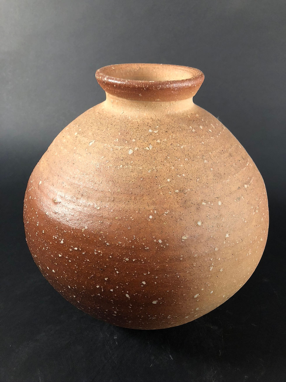 Shigaraki Vase [TI-V 291]
