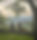 5EB9D167-54E7-4ADA-954D-D7CE00FFB637.jpeg