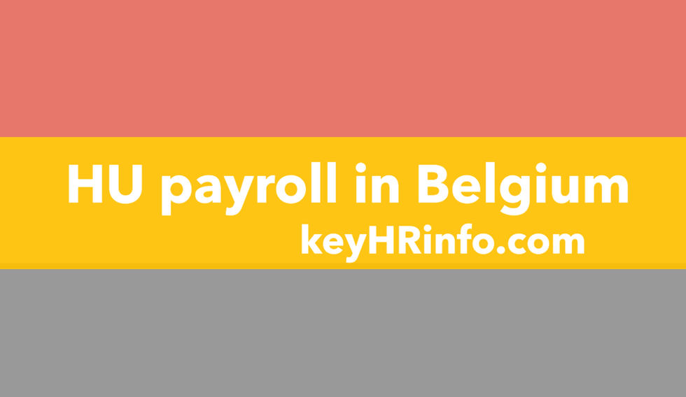 Unlocking the Complexities of Payroll in Hungary Local Data Registered in Belgian Accounting Books
