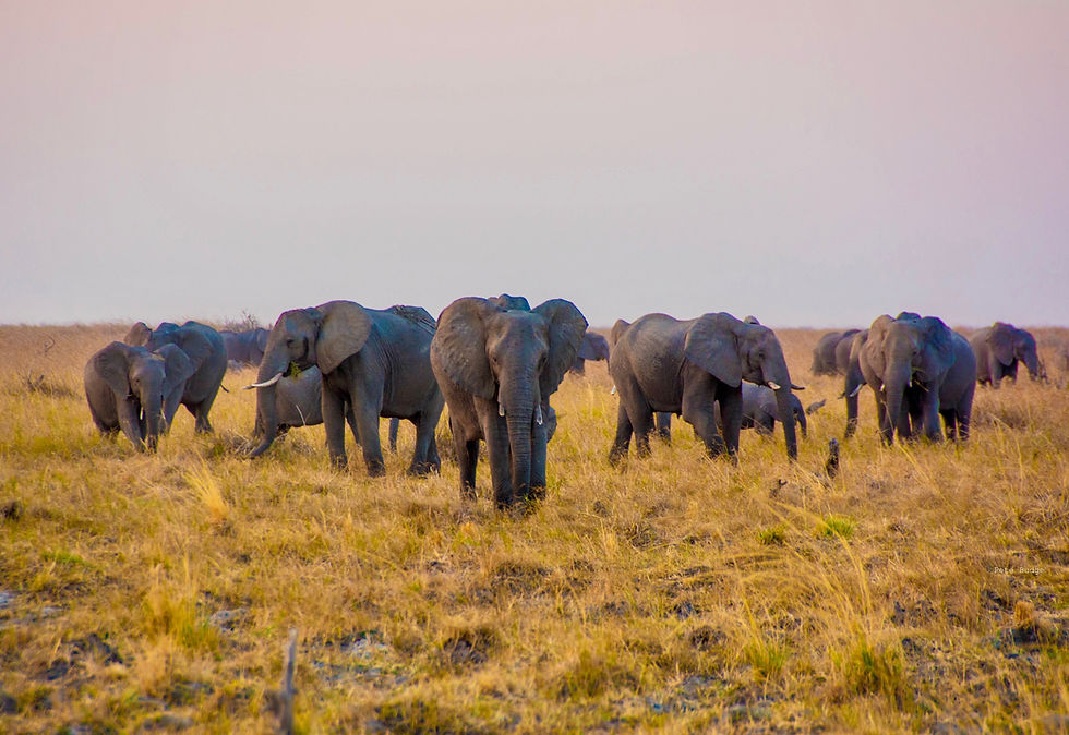 Mababe, Botswana