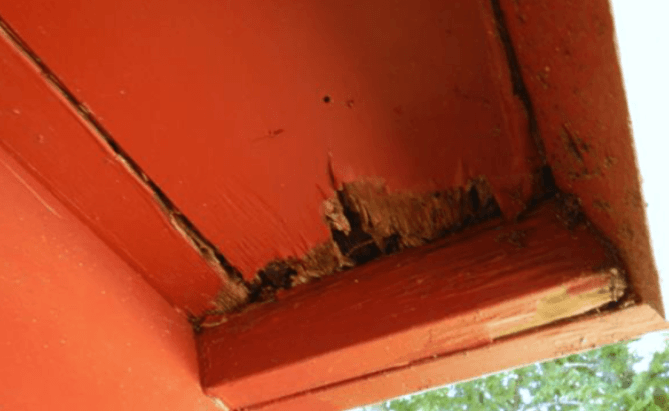 Soffit in dire need of repair