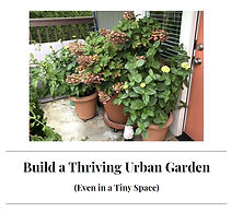 Urban Garden Planning