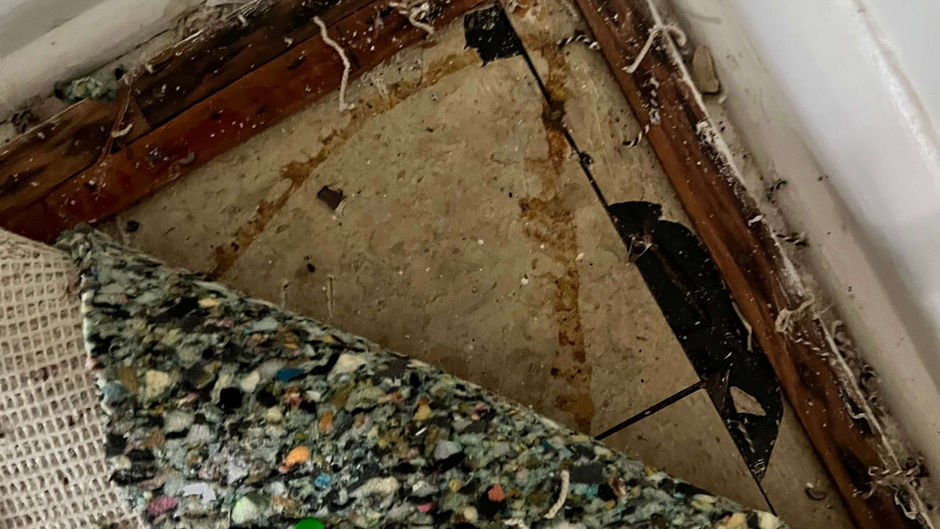 Asbestos under carpet