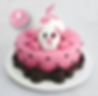 Torta Pet