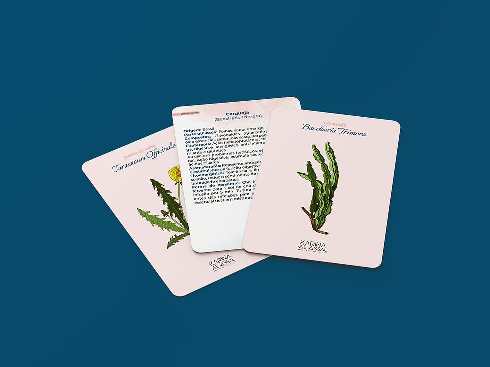 Miniatura: Guia prático de plantas medicinais