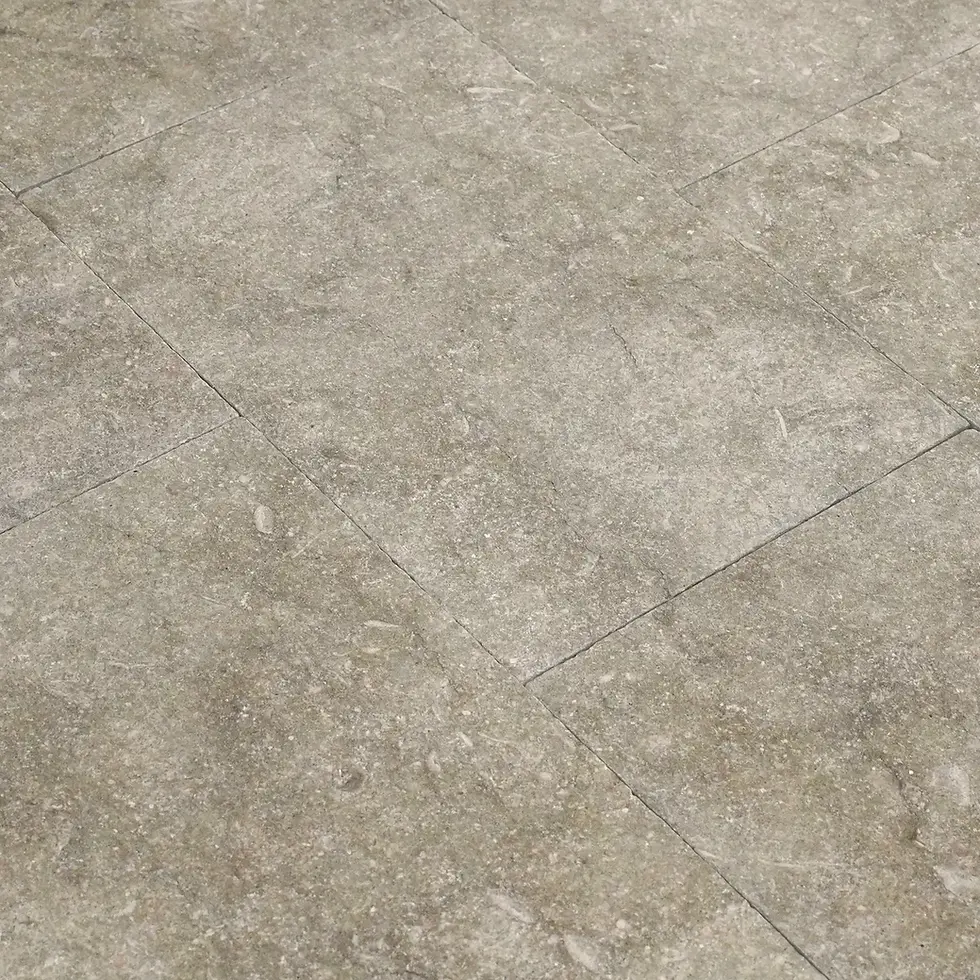 Thumbnail: SEAGRASS LIMESTONE