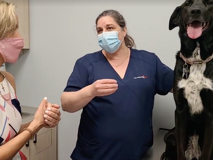 VetmobilePlus: Rhonda & Dr. Nosotti Talk Tick & Flea Season