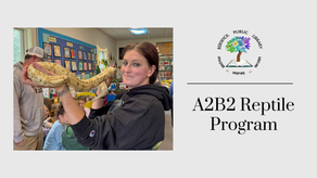 A2B2 Reptile Program
