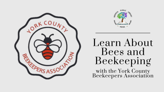 Learn about bees and beekeeping