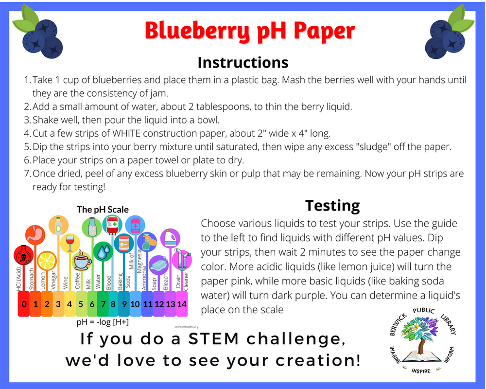 Week 7 STEM Challenge Blueberry pH Paper