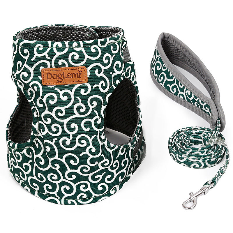 Miniature : Harnais pour chats ou petits chiens avec sa laisse