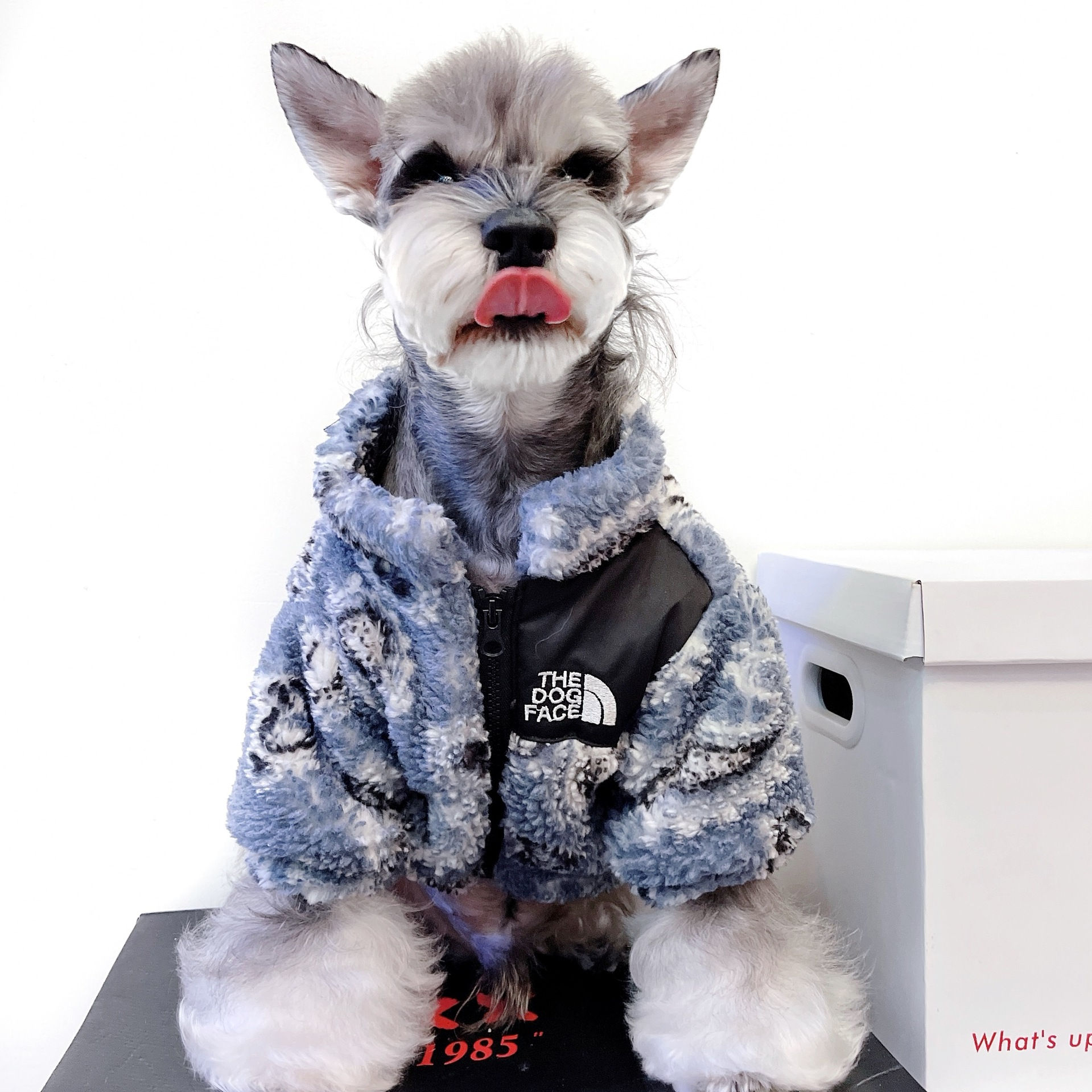 Maglione piacevule per i cani (25 - 40 cm)