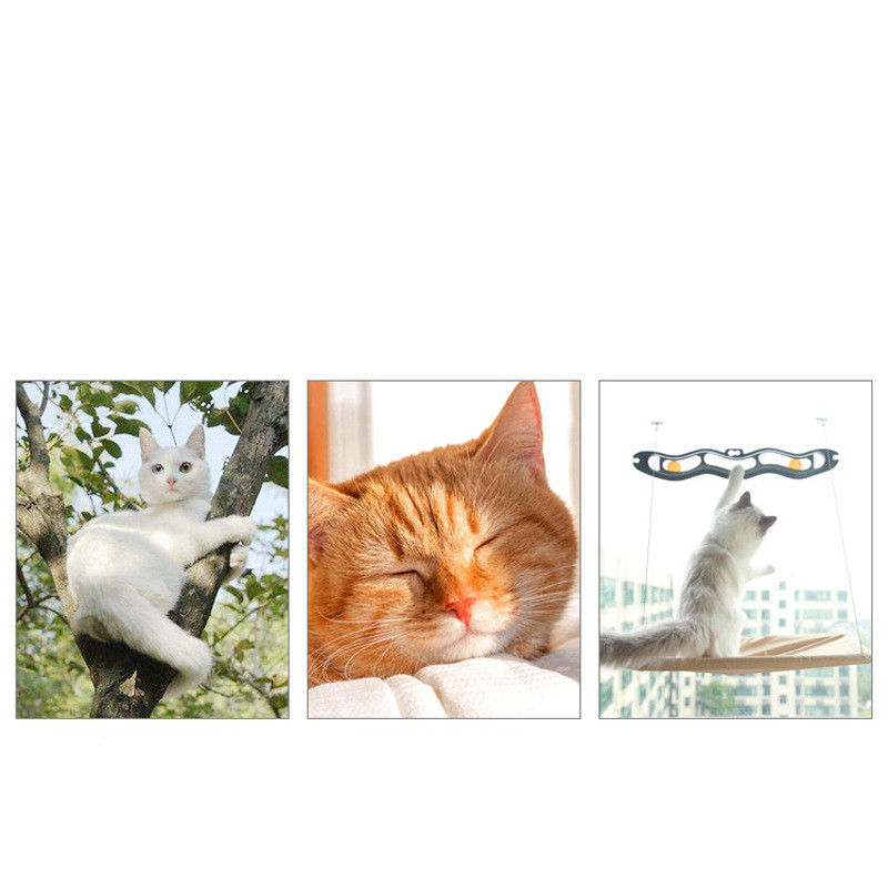 Miniature : Hamac suspendu pour chats