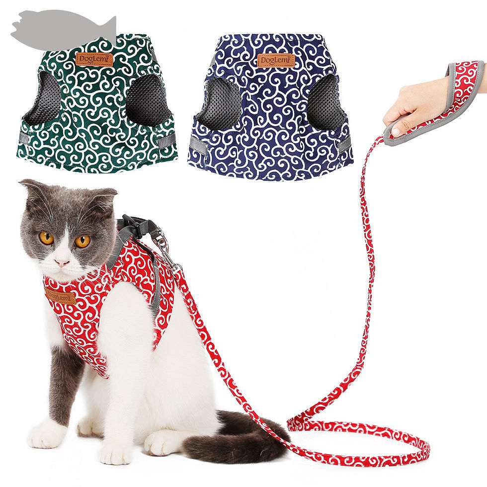 Miniature : Harnais pour chats ou petits chiens avec sa laisse