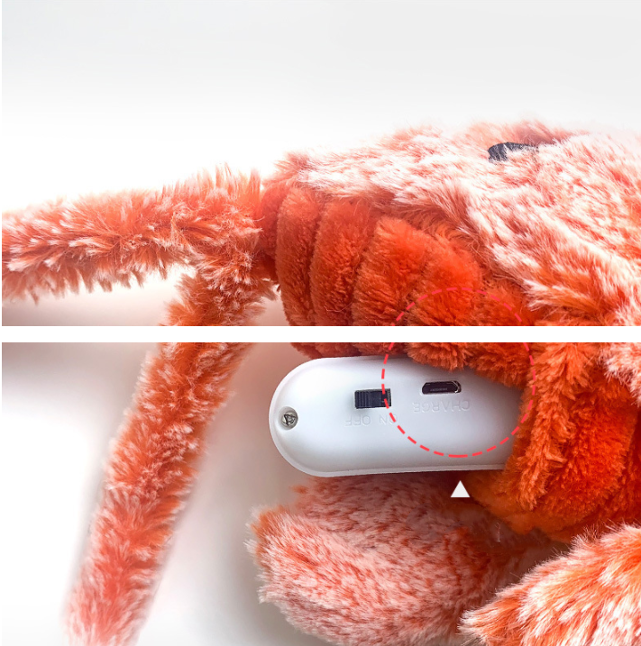 Miniature : Crevette électrique pour chat