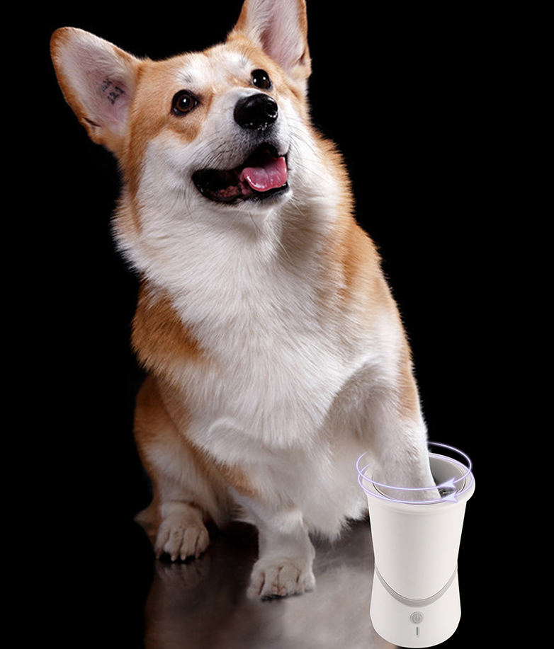 Thumbnail: Lave pattes pour chiens