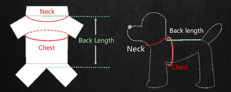 Miniature : Imperméable transparent pour petits chiens (de 20 à 45)