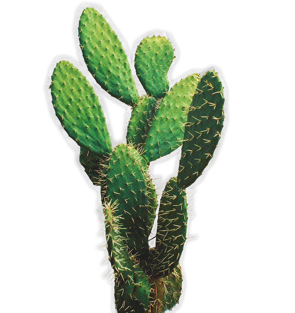 Nopales.png