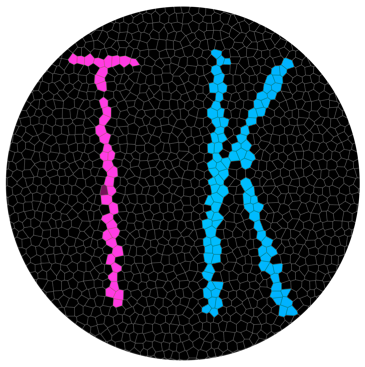 Teenek LOGO