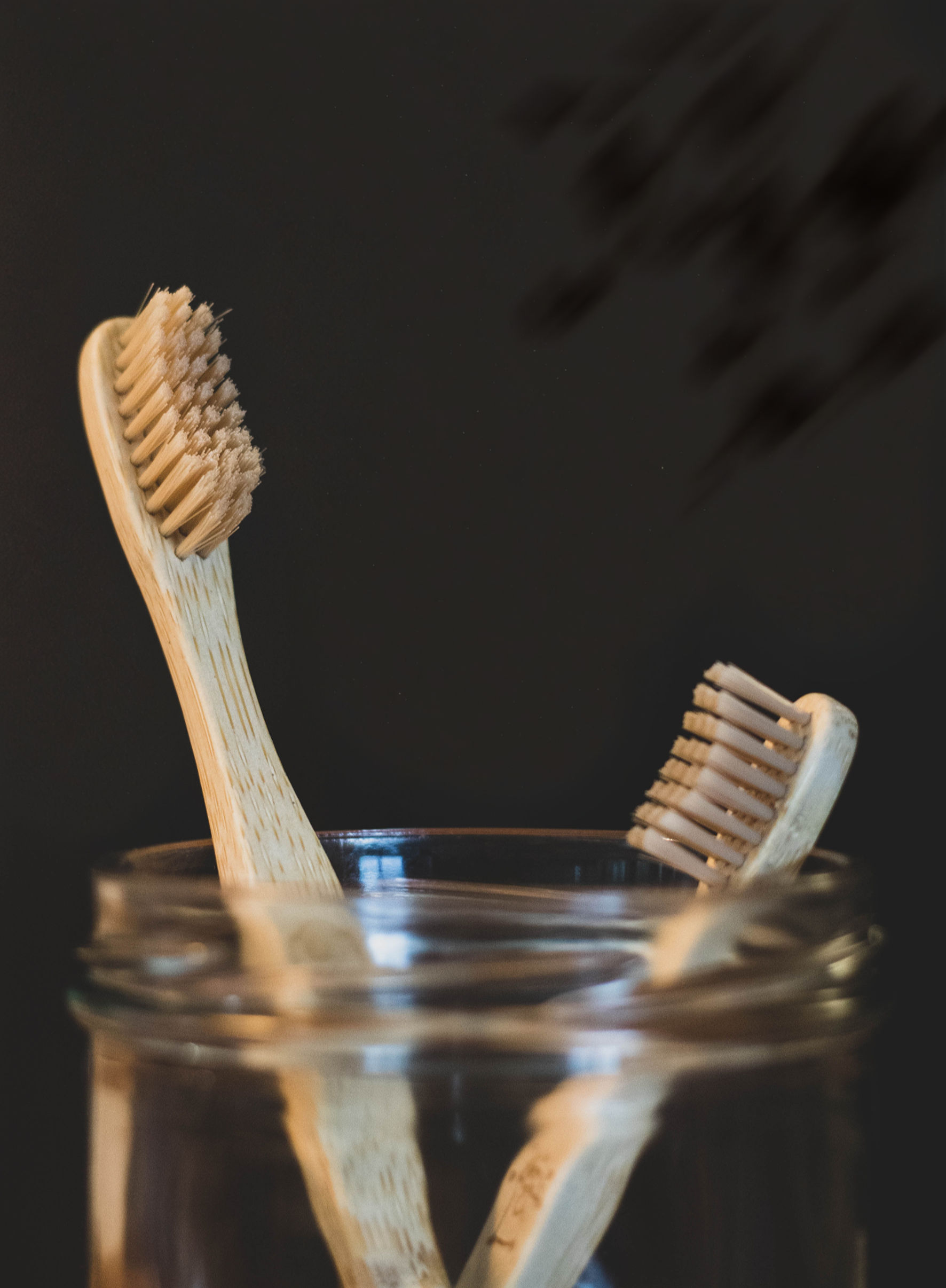 Bamboo & Boar Bristle Toothbrush | 100% Compostable Toothbrush
