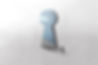 shutterstock_1772077097.jpg