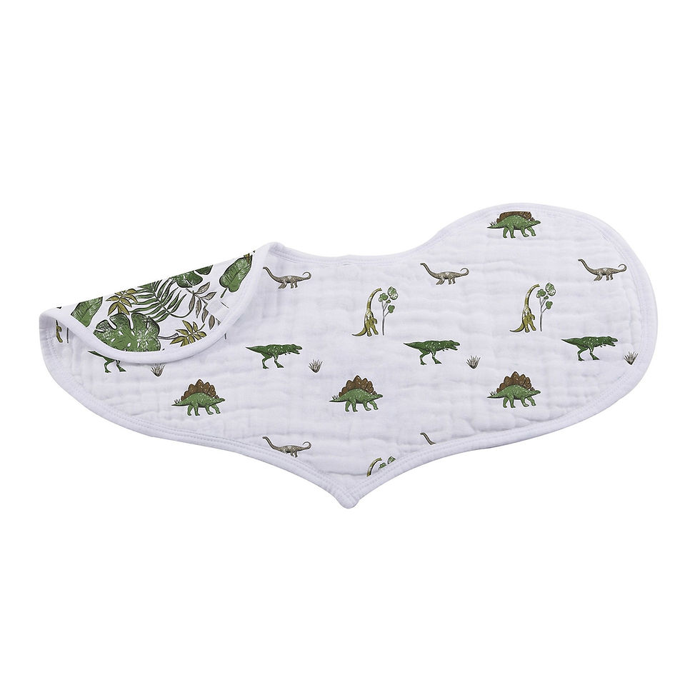 Thumbnail: Dino Days Cotton Burp Cloth Bib 2PK