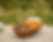Haco-Fire-Bowl-Torcpots-Seattle-Terrain-1.png