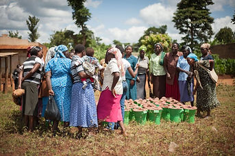 Project-Cover-Photo-Kenya-project-768x511.jpeg