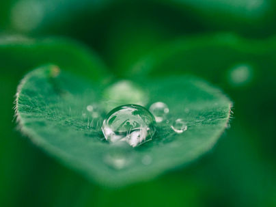 De spirituele waarde van tantra: samenzijn met het essentiële