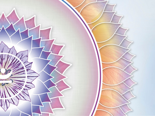 De twaalf yoga-vormen van The Light of Being