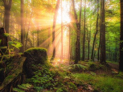 Wat geef jij door aan de wereld?